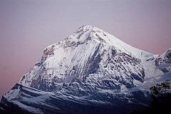 201 Dhaulagiri Just Before Sunrise 